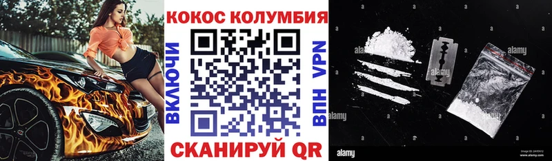 где найти   Нестеровская  блэк спрут   COCAIN VHQ 