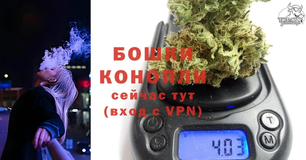 дмт Мегион