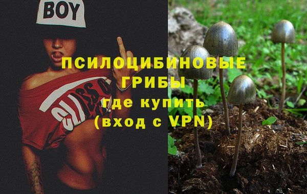МДМА Медвежьегорск