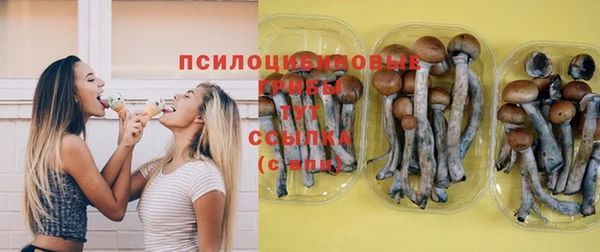 МДМА Медвежьегорск